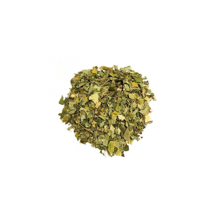 Italia spezie Te E Tisane | Infuso - Moringa