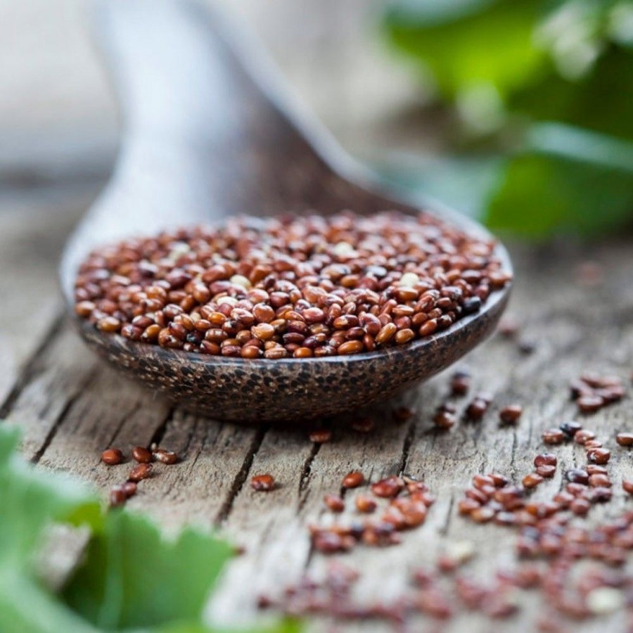 Italia spezie Legumi Cereali E Farine | Quinoa Rossa Acquista Online - Italia Spezie