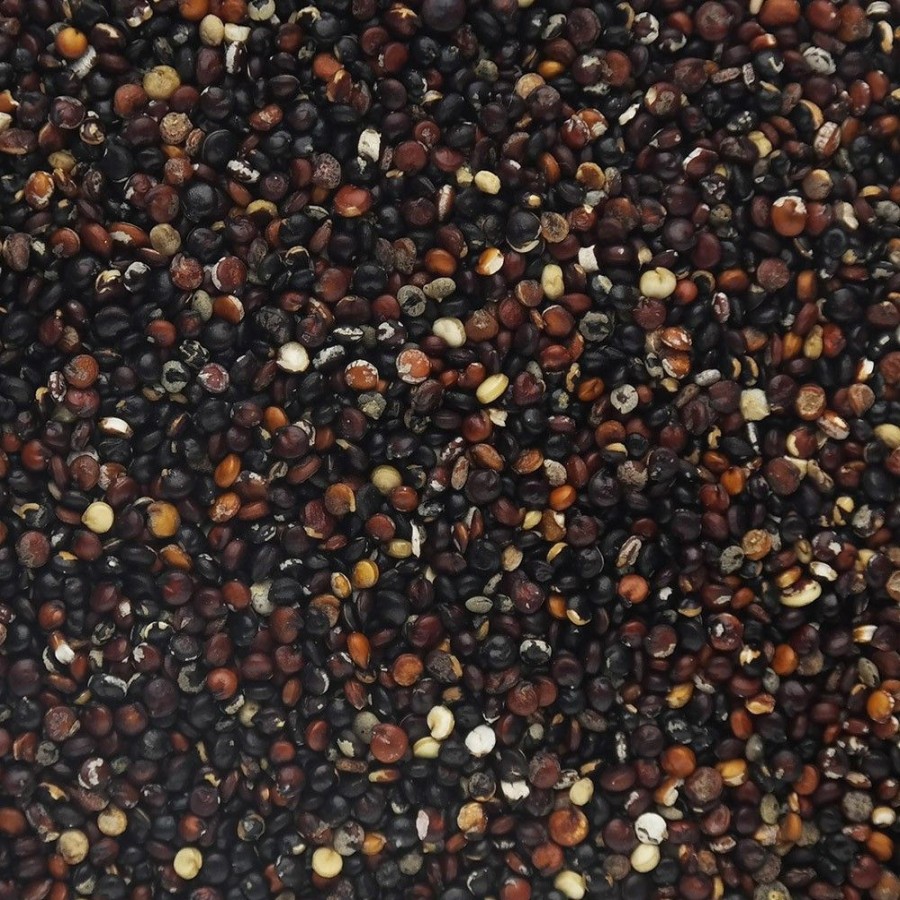 Italia spezie Legumi Cereali E Farine | Quinoa Nera